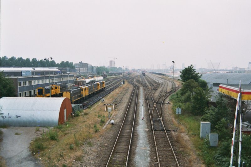 rtfeijenoord1.jpg