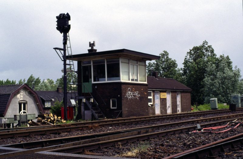goudagwbr1.jpg