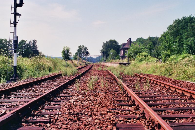 schinopgeuljuli1992.jpg