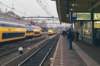 venlo1_small.jpg